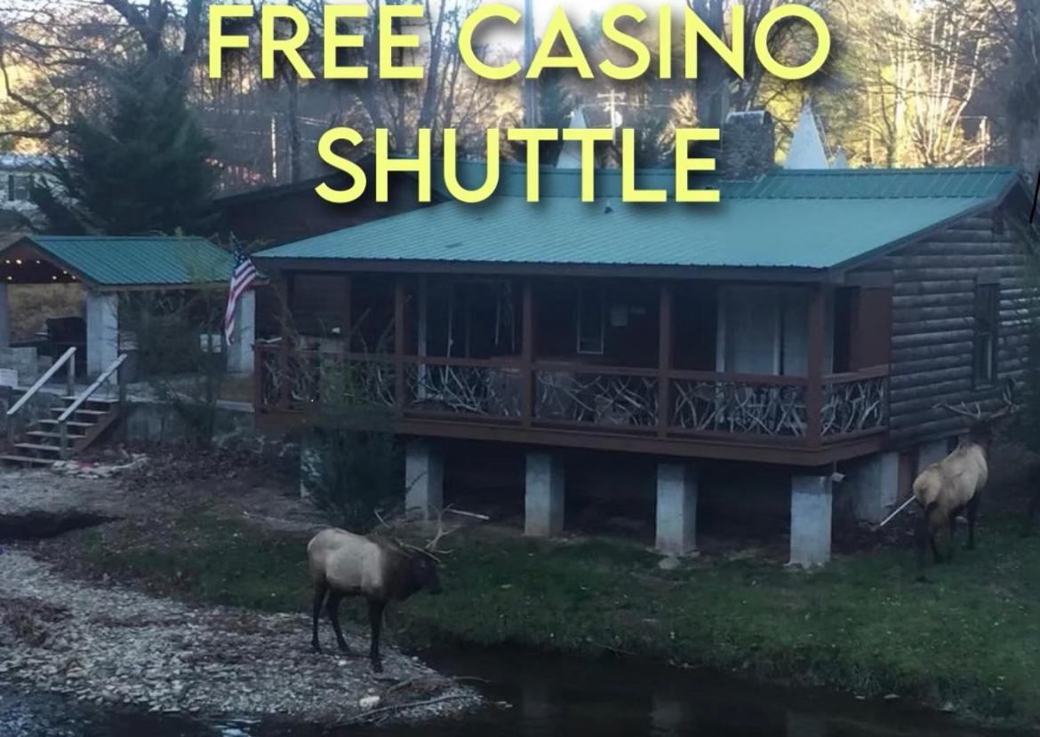 Qualla Cabins And Motel Cherokee Near Casino Whittier Εξωτερικό φωτογραφία